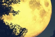 26年首个超级月亮,超级红月亮广州形成时间？