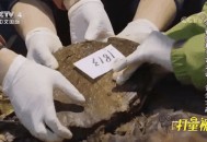 酒店78公斤黄金被撤,什么阶段是酒店的黄金阶段？