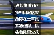 客机因炸弹威胁返泰,民航起飞后不久紧急迫降有何损失？
