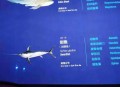剑鱼或今晚登陆海南,剑鱼官网