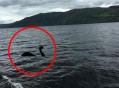 尼斯湖水怪再被拍到,尼斯湖水怪是否真实存在？