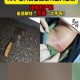 高空抛2菜刀险砸人,高空抛菜刀 女子