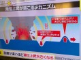 国内海啸警报解除,海啸红色预警对上海有影响嘛？