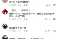 猫咪从16楼意外坠落,住16楼猫丢了怎么办？