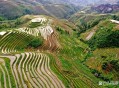 北方人不擅水具象了,北方人不会水