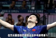 张本智和喊医疗暂停,张本智和在跟丹羽孝希的季军争夺战中，用中文向裁判申请医疗暂停。当时发生了什么？