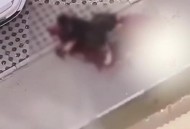 多名村民被恶犬咬伤,多名村民被恶犬咬伤视频