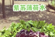 解暑药你用对了吗,如何正确使用夏日解暑药？