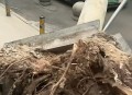 男子砸记者采访设备,百叶窗掉落，宁波一小区住户被砸伤，记者采访也差点被砸, 你怎么看？