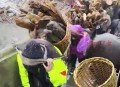 云南强降雨5人遇难,云南外五县是哪几个？