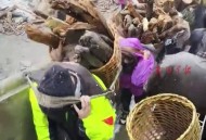 云南强降雨5人遇难,云南外五县是哪几个？