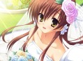 天神乱漫游戏攻略,天神乱漫游戏攻略psp
