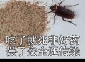 1岁女孩误食蟑螂药,蟑螂引诱济，儿童吃了，会中毒吗？