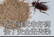 1岁女孩误食蟑螂药,蟑螂引诱济，儿童吃了，会中毒吗？