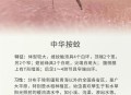 蚊子最爱的7类人,蚊子和人属于什么关系？
