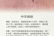 蚊子最爱的7类人,蚊子和人属于什么关系？
