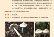 游客采食蘑菇中毒,游客采食蘑菇中毒怎么处理
