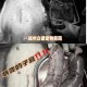 男童被犬只撕咬下体,狗生完小狗一般多长时间阴部就不在流血了？