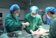 机上分娩女婴仅2斤,女子在飞机上生孩子