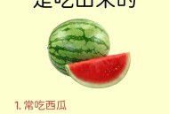 湿气越吃越少的食物,湿气重吃什么菜？