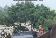 暴雨中被司机扔半路,襄阳暴雨后洪水侵袭：道路房屋被冲垮，汽车像鱼一样漂流，司机困车顶，有关部门正进行道路清障, 你怎么看？