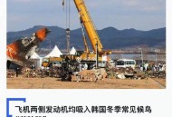 被吸入飞机引擎身亡,人被吸入飞机引擎还能活下来吗？
