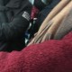 孕妇拒让座遭辱骂,不给孕妇让座视而不见的作文？