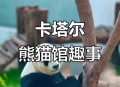 卡塔尔熊猫馆仍营业,卡塔尔熊猫馆仍营业吗现在
