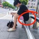 公交站椅子仅手机高,公交站台椅子