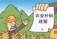 这些补贴补助记得领,怎样领取知青补贴？