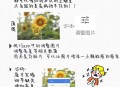 手机软件教程大全,手机软件教程大全视频