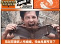 徒手抓蝙蝠被咬伤,蝙蝠能咬得动塑料吗？