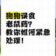 睡眠不足者攻击性强,怎麼办，鼠鼠越狱，抓回来之后脾气很暴躁，很有攻击性？