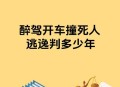 00后女孩醉驾致3死,00后醉驾怎么处理？
