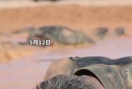 拒服兵役受7项处罚,江西一00后拒服兵役并威胁部队，被多重处罚，拒服兵役将承担什么后果？