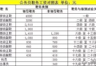 以国家安全局长辞职,什么是国家公务员？