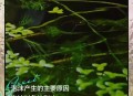 一河流现白色泡沫,清清河水一条鱼吐串泡泡填单韵母？