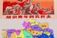 387万放地上被偷,知青上山下乡人口是多少万？