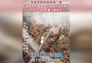 采蘑菇被毒蛇咬伤,为什么蘑菇底下有蛇？