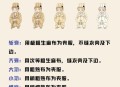 出了五服不是亲戚,什么是出五服的亲戚？