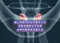 甲状腺为熬夜买单,甲状腺 熬夜