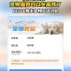 宠物坐高铁试点扩大,宠物狗做高铁可以吗？