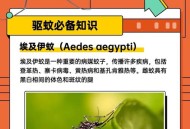 蚊子最爱的7类人,蚊子偏爱哪些人
