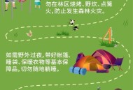 度假警惕5种安全风险,旅游风险等级划分？