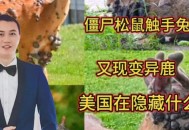 美国多地现变异动物,美国电影虫子变异？