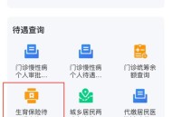 生育津贴发放至个人,生育津贴怎么发放给个人？