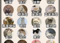 猫猫的叫声也有口音,宝宝晚上都要醒好几次，是安全感不足吗？