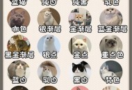 猫猫的叫声也有口音,宝宝晚上都要醒好几次，是安全感不足吗？