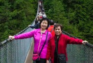 赴加拿大团队游恢复,加拿大跟团游