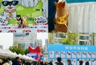 AI养宠收割年轻人,爱宠物领养